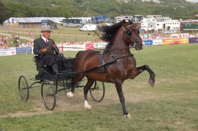 Horsecarts