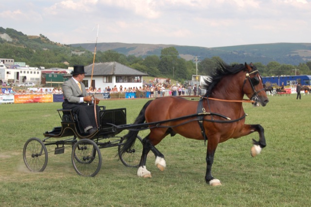 Royal Welsh Fair