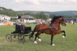 Horsecarts