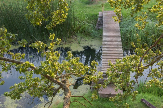 Bridges