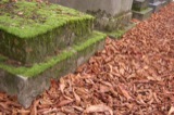 Cemetaire du Pere Lachaise