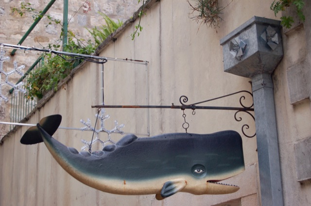 Whales