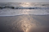 Ocean