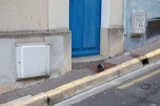 Trouville
