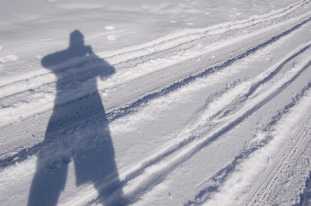 Shadows