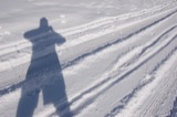 Shadows
