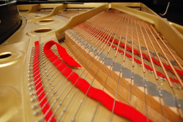 Percussion