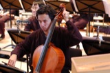 Cellos