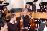 Violins
