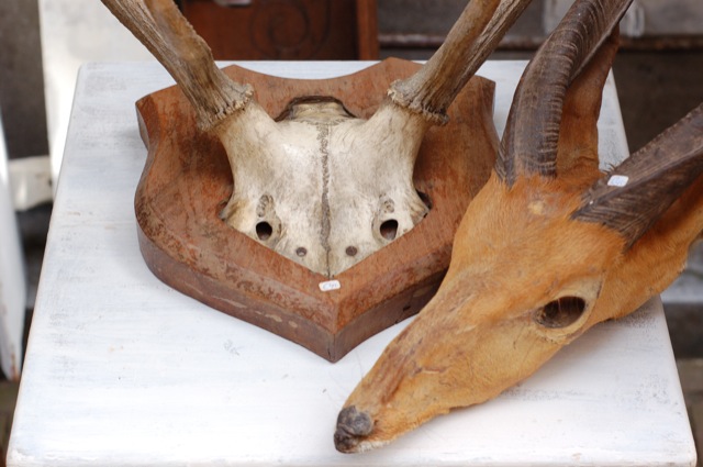 Horns