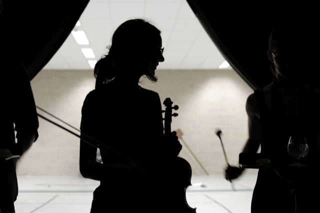 Violins