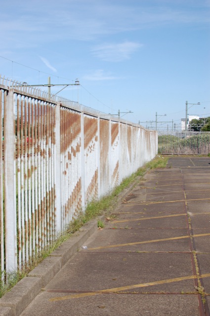Binckhorst