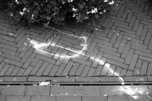 Paint Trail