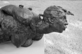Sculpture Festival