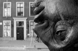 Sculpture Festival
