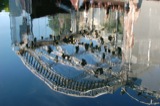 Hofvijver