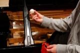 Ping-Pong Balls