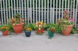 Street Furniture