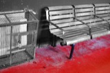 Benches