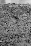 Mud