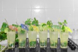 Mojitos