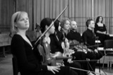 Violins