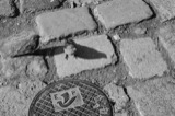 Cobblestones
