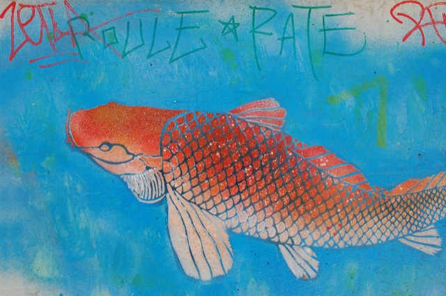 Fish