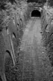 Tracks