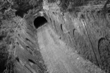 Petite ceinture