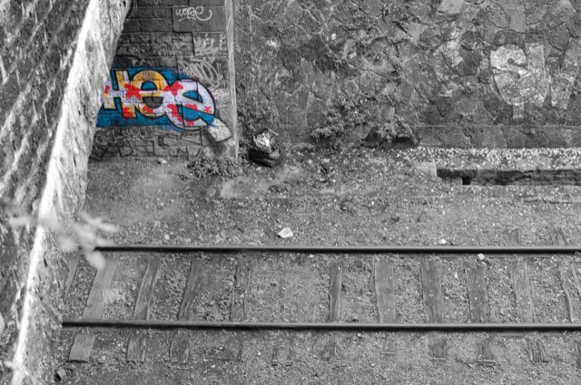 Tracks
