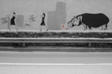 Walls