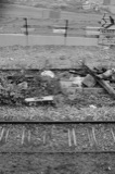 Tracks