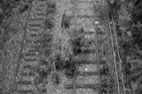 Petite ceinture