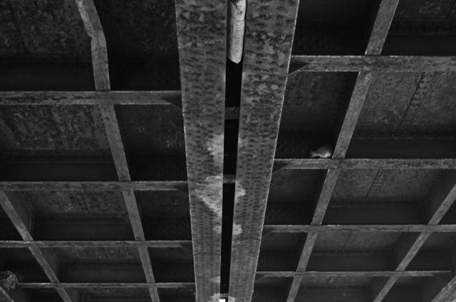 Bridges