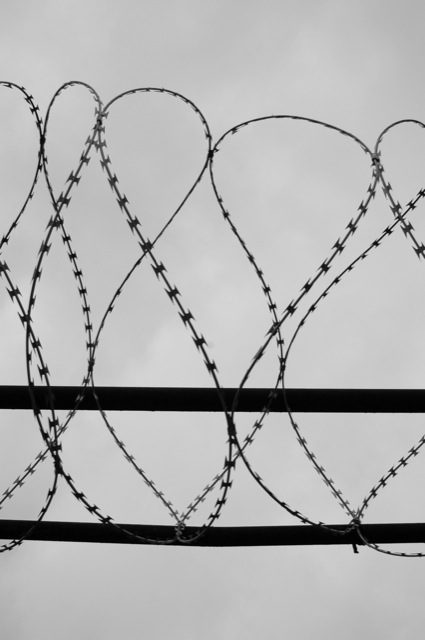 Fences