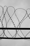 Fences
