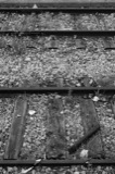 Tracks