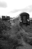 Petite ceinture
