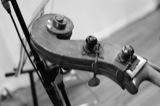 Double Bass