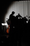 Shadows