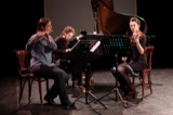 Violins