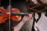 Violins