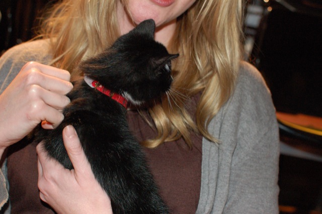 Jeremiah (cat)