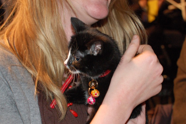 Korzo 2009.11