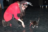Jeremiah (cat)