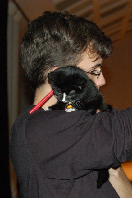 Jeremiah (cat)