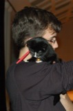 Jeremiah (cat)