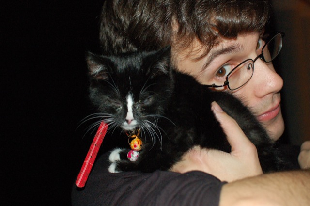 Jeremiah (cat)