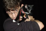 Jeremiah (cat)